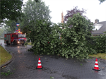 Prio 2 Stormschade Mr Andreaestraat Kollum